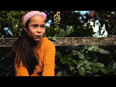 Cultura Al Aire TV Cap. 6 Escuelas de Música de Colombia