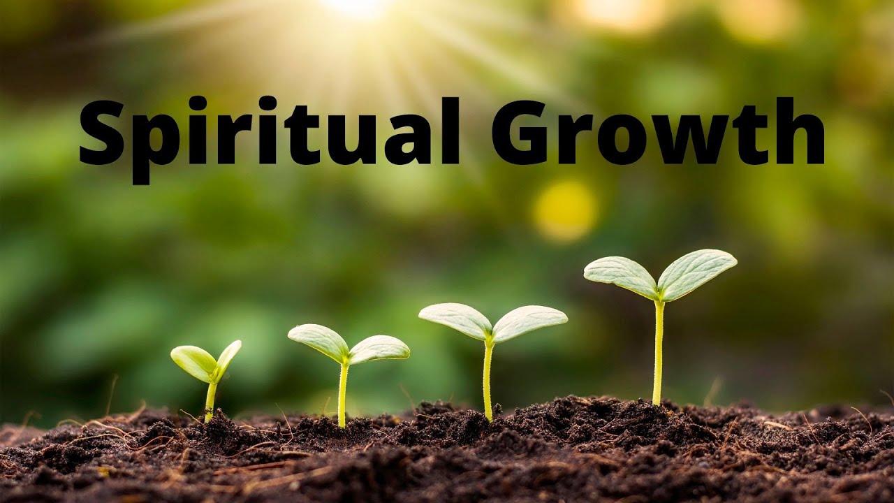 A Call To Deeper, Lasting Growth (John 15:1-5)