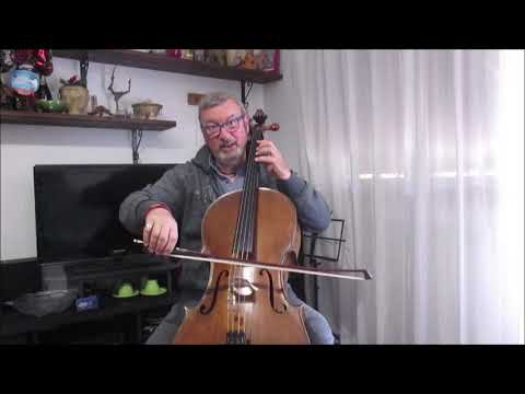 Il Violoncello con Mauro Cipriani - Incontro  9