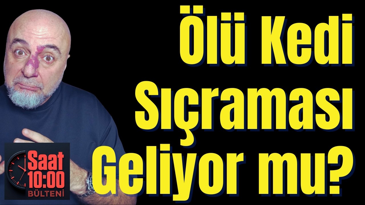 Borsalara Ölü Kedi Sıçraması Geliyor mu?