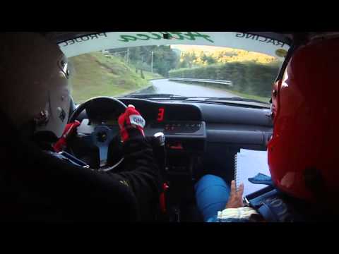 Cameracar Rally Città di Camaiore 2014 Fredducci-Capilli Clio W A7 1°di classe - PS 6