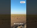 Видео превью