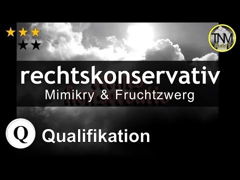 TNM S2 | rechtskonservativ (Mimikry & Fruchtzwerg) | Qualifikation #45 (prod. by tonybeatzz)