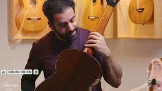 Michele Della Giustina - 2025 No. 438 - Video preview