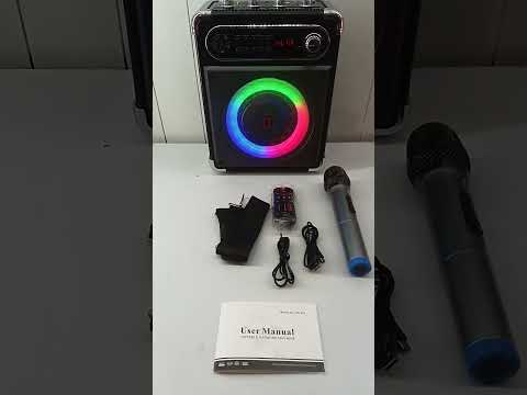 Power Testing - JYX Karaoke Machine with 2 Wireless Microphones
