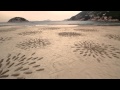 Coca-cola flash mob: Paint the beach 