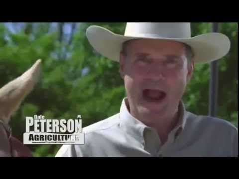 Why?  Dale Peterson.