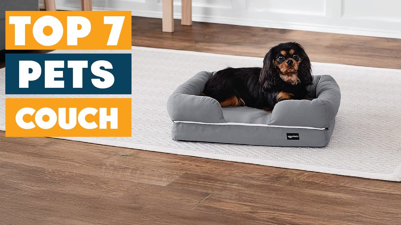 Best Couch for Pets: Top 7 Pet-Friendly Sofas of 2025