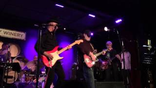 Matthew Sweet - Divine Intervention - City Winery NYC 5-7-2016