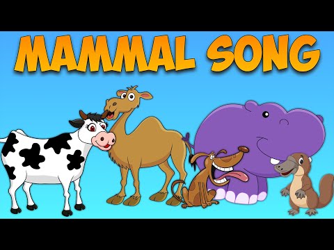 The Mammal Song