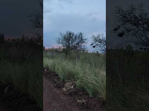 caminhada de 4 kms,estrada de terra , Itaroquem... Santo Antônio das Missões
