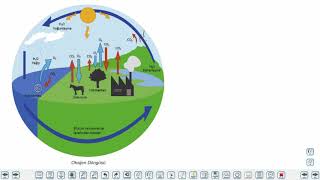 Eğitim Vadisi 11.Sınıf Coğrafya 3.Föy Enerji Akışı ve Madde Döngüsü 2 Konu Anlatım Videoları