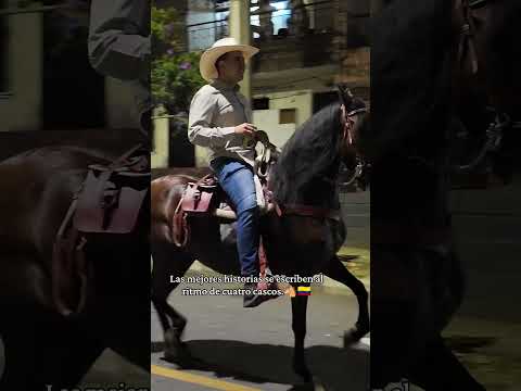 🐎 A stunning brown horse stealing the spotlight in Giraldo, Colombia🇨🇴