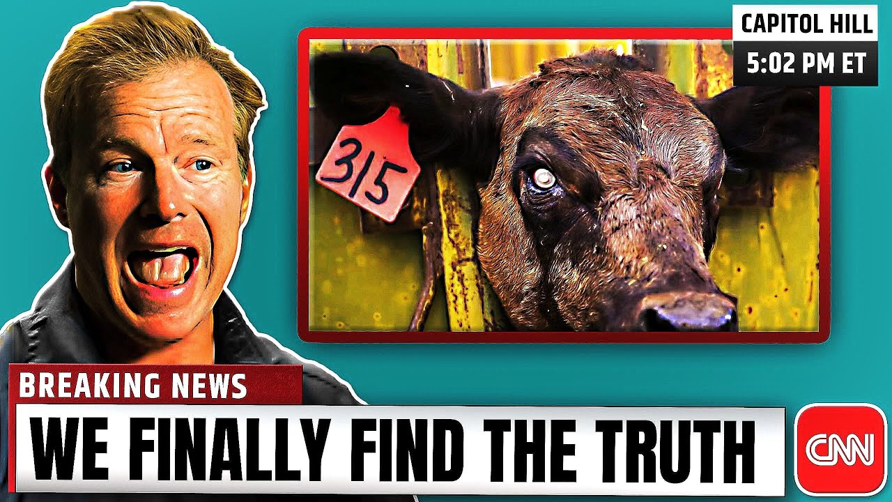 YouTube Thumbnail Downloader FULL HQ IMAGE