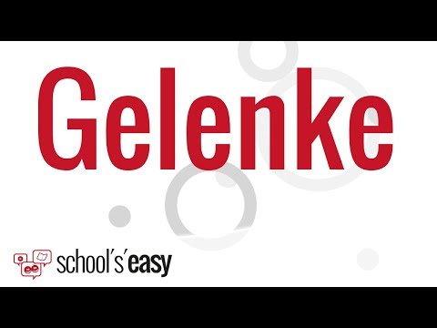 Gelenke - Wie funktionieren sie und warum sähen wir ohne sie doof aus?