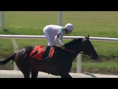 230219 c01 BENJAMINA