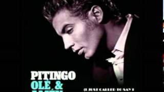Pitingo-I just called to say i love you