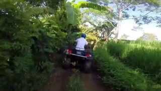 preview picture of video 'ATV Quad in Jatiluwih Bali by Balibyquad.com'