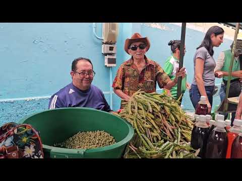 Feira livre de São José do Egito PE em 13-06-26 