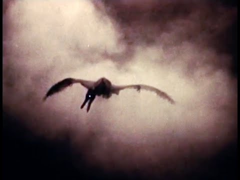 Video thumbnail for Dragon