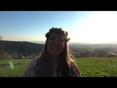 Die Gundelrebe - Pflanzenkunde im Jahreskreis