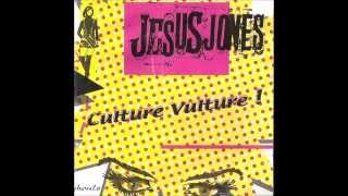 Jesus Jones - Culture Vulture EP (2004)