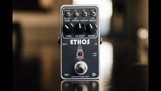 Video thumbnail for Ethos TWE-1 Overdrive by kinsmen