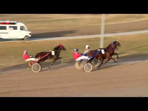 2017.12.31. 2. futam - LOVASOK.HU KLUBKÁRTYA - PATKÓ DÍJ