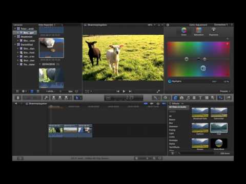 download lagu mp3 mp4 Colorgrader, download lagu Colorgrader gratis, unduh video klip Colorgrader