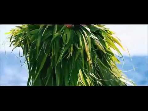 Ko Fakagasue by B4D P4X (Tuvalu song 2015)