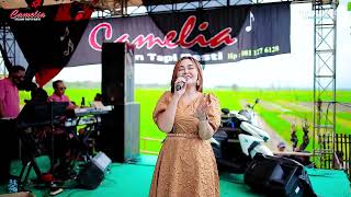 Download lagu CAMELIA MUSIC - LOVER'S FACE - EVA AQUILA - PARTY SEASON 7 REPTIL'Z GENERATION - KARANGANYAR DEMAK mp3