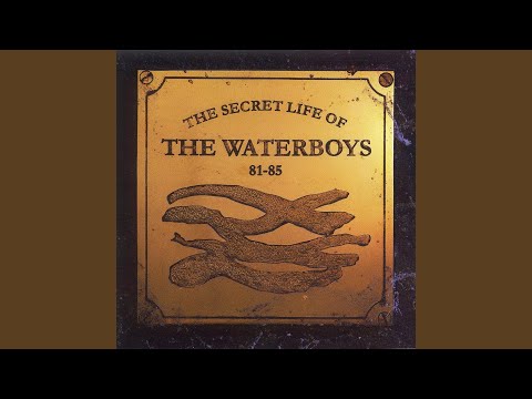 Videoclip de Billy Sparks — The Waterboys