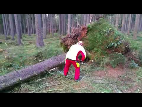 28 10 2017 30 10 2017 Unwettereinsätze 1