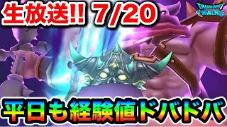 【ドラクエウォーク】祝日はこれが最高率レベリングな私氏ｔｔだあああ