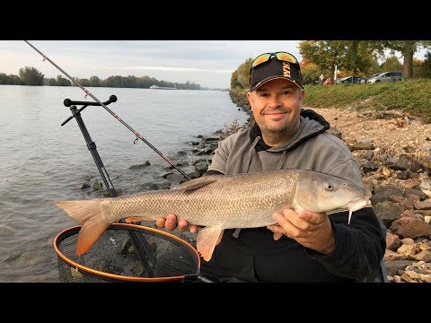 Barbel feeder fishing with Kai Chaluppa