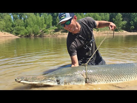 image-What is the largest gar fish?