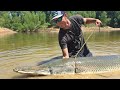 230lb Monster Alligator Gar!!