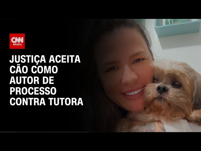 Justiça aceita cão como autor de processo contra tutora  | CNN NOVO DIA