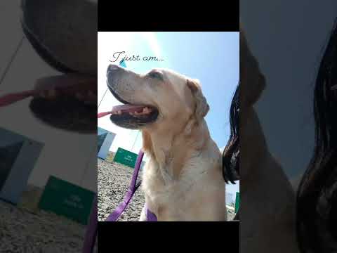 What you speak to yourself..matters.. #affirmation