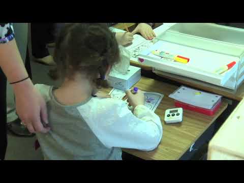 Palisades Park Armed Guards