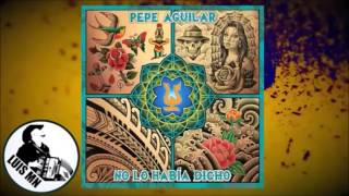Volver a mi casa-Pepe Aguilar