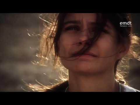 Izgubljena čast - Promo (Prva World)