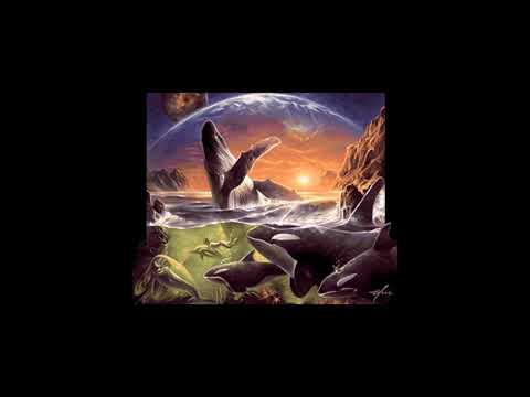 Amiga Paula does XM: Teis - Dreamatic Space (A1200🎧Dolbyfied)