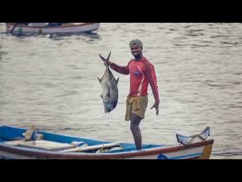 Navarasam - Thaikkudam Bridge - Debut Album Teaser - Kappa TV