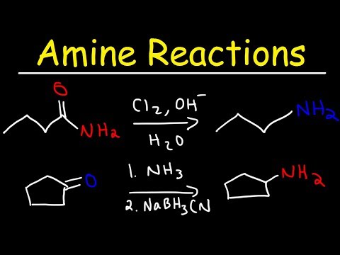 Amine Synthesis Reactions