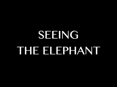 SEEING THE ELEPHANT
