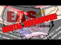 EAS Mental Breakdown