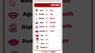 İngilizce Deneme Quiz ( Vücudun Bölümleri ) #english #shorts