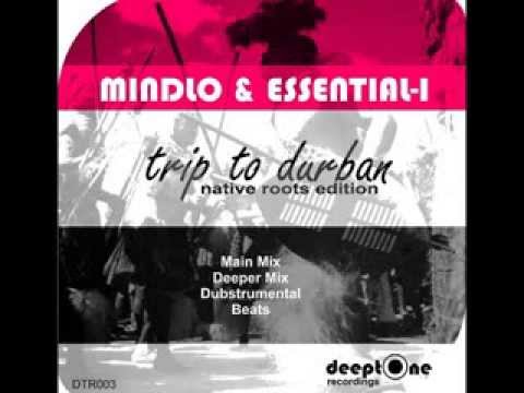 Native Roots - Trip To Durban (Main Mix)