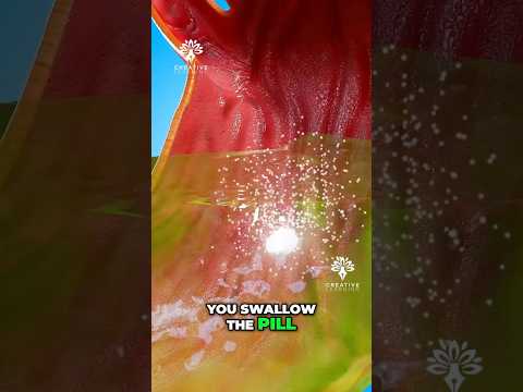 How Painkillers Know Where It Hurts 😮 #painkiller #short - Creativelearning3d
